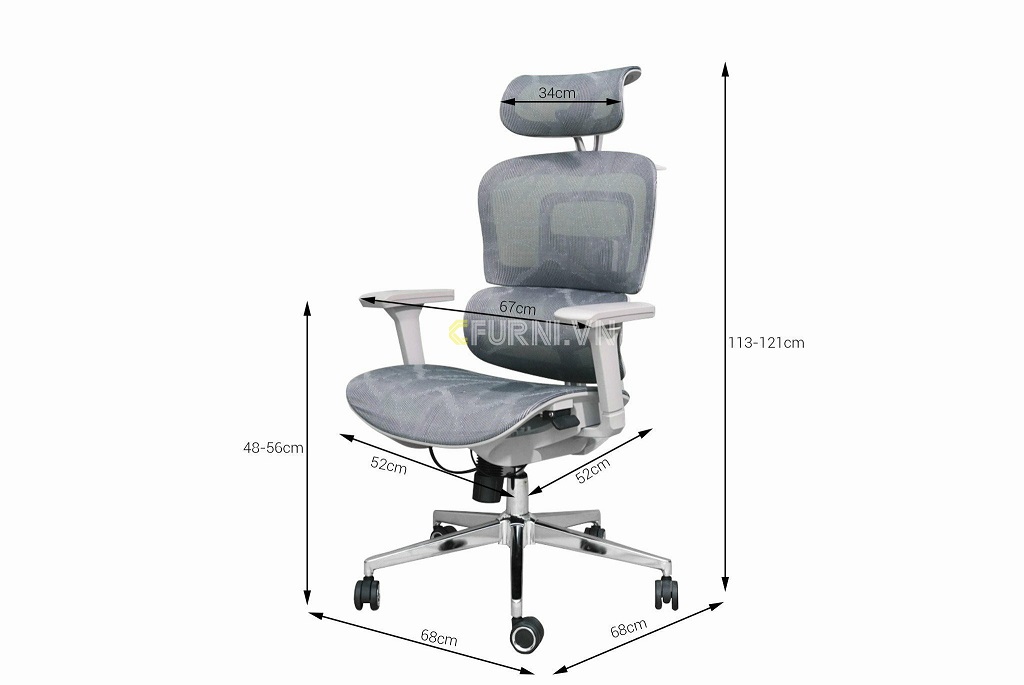 Ghế Công Thái Học ENZO