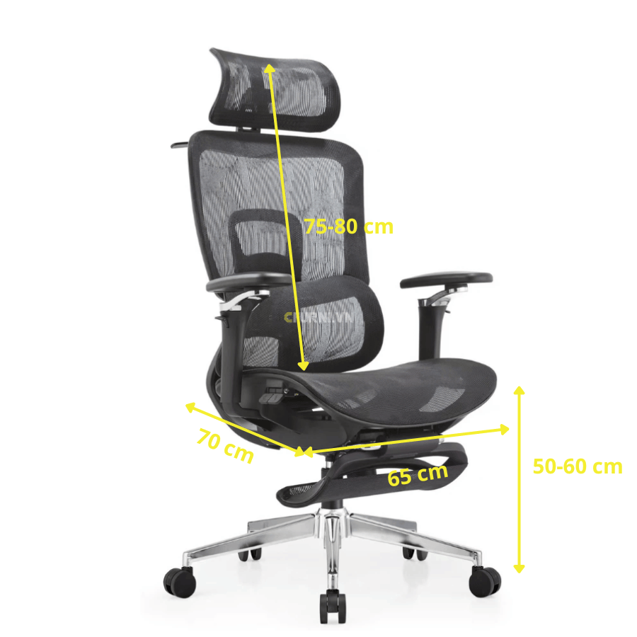 Ghế Công Thái Học ERGON