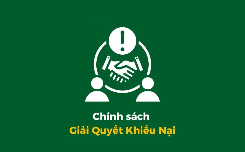 Sự kết hợp giữa năng lực sản xuất tại xưởng và tinh hoa nhập khẩu